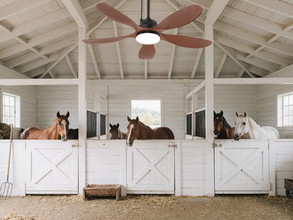 42 inch outdoor ceiling fan with light for barn and stable airflow